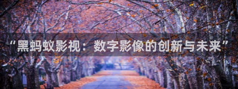 金牌影视免费官网