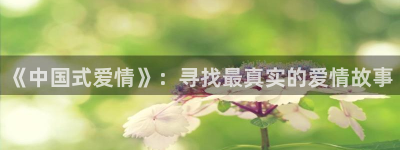 金牌影院电视剧观看：《中国式爱情》：寻找最真实的爱情故事