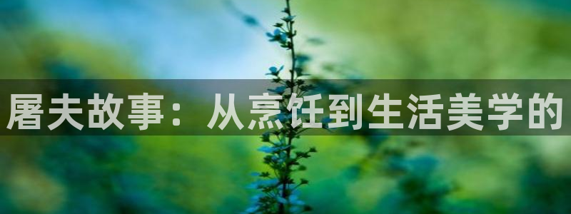 金牌影院下载：屠夫故事：从烹饪到生活美学的