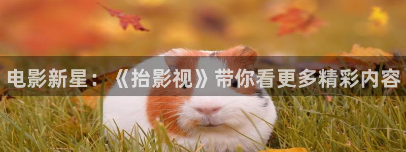 金牌电影在线观看免费完整版高清