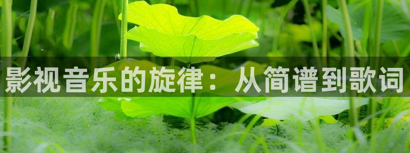 金牌荣耀韩国电影