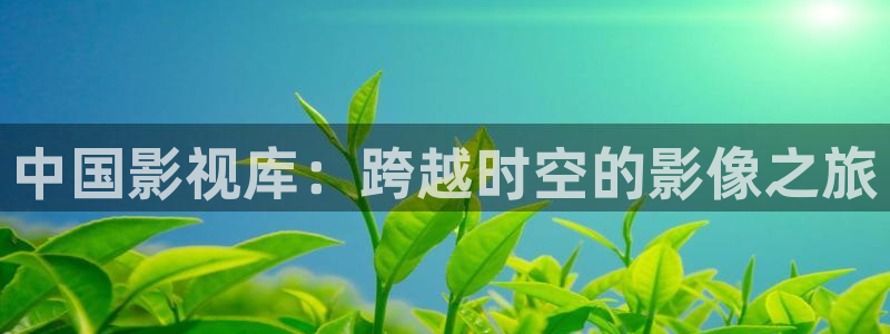 金牌影院入口官网