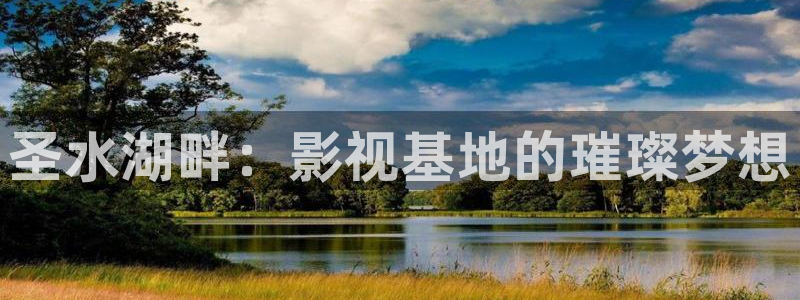 金牌影视官网入口免费观看