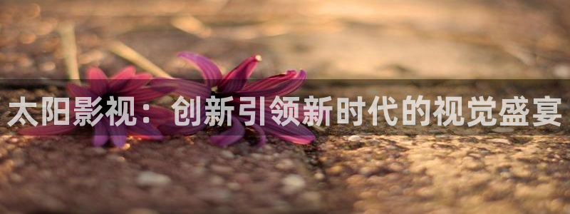 金牌销售电影免费：太阳影视：创新引领新时代的视觉盛宴