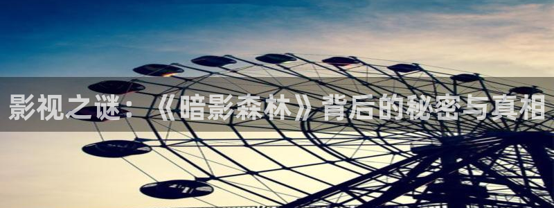 金牌影视电视剧在线观看2024